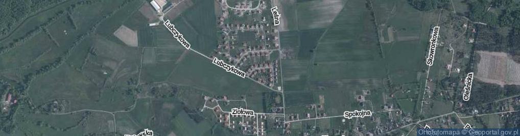 Zdjęcie satelitarne Nawłociowa ul.